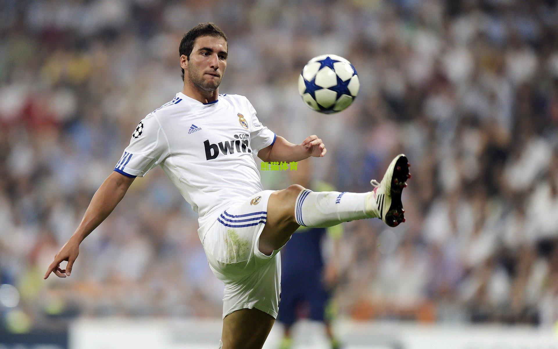 拜仁队史射手榜传奇,穆勒家族为何总能闪耀安联球场?