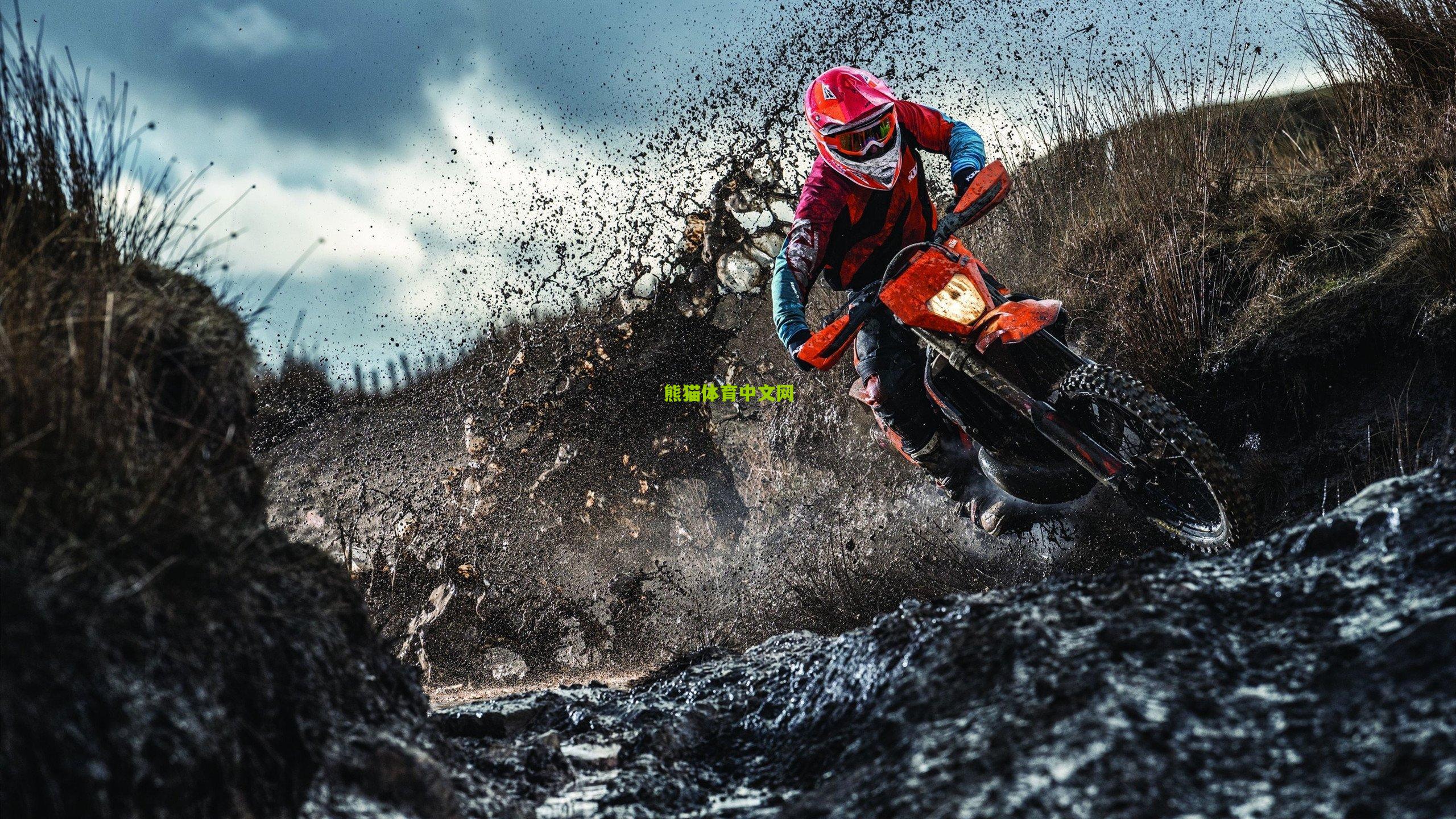 科瓦奇盛赞格罗斯，完美定位激发核心潜能，自信铸就赛场巅峰表现