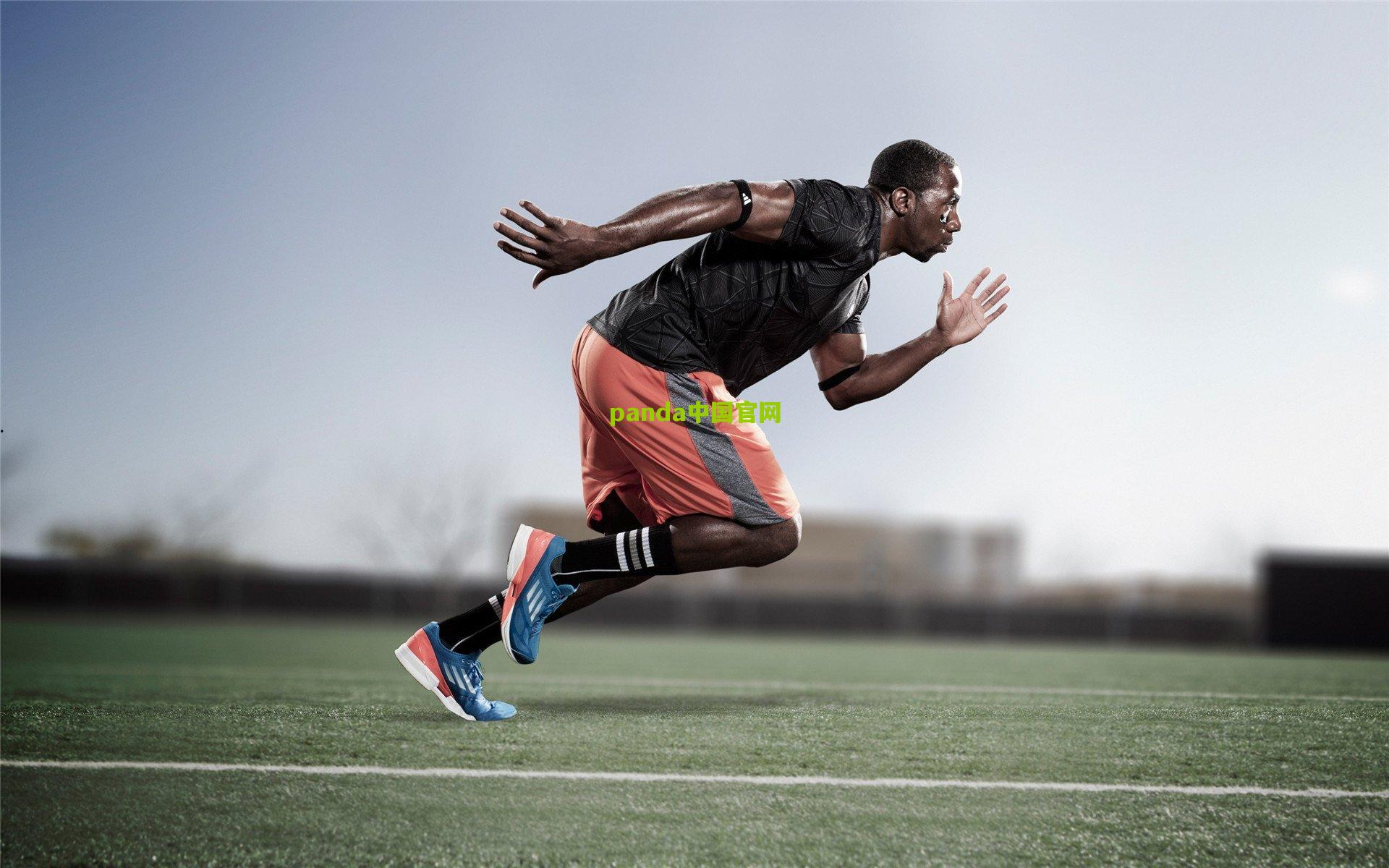 科瓦奇赛前坦言，深度解析勒沃库森战术，多特蒙德以弱者姿态迎战皇马