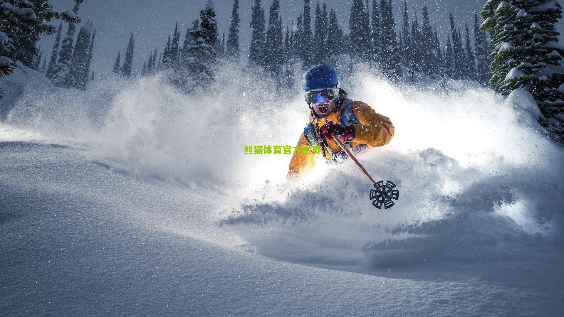 12问德甲新赛季之黑马篇，哪些球队新人值得关注？